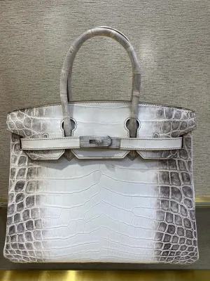 Designer Handbags - HMS - 6285